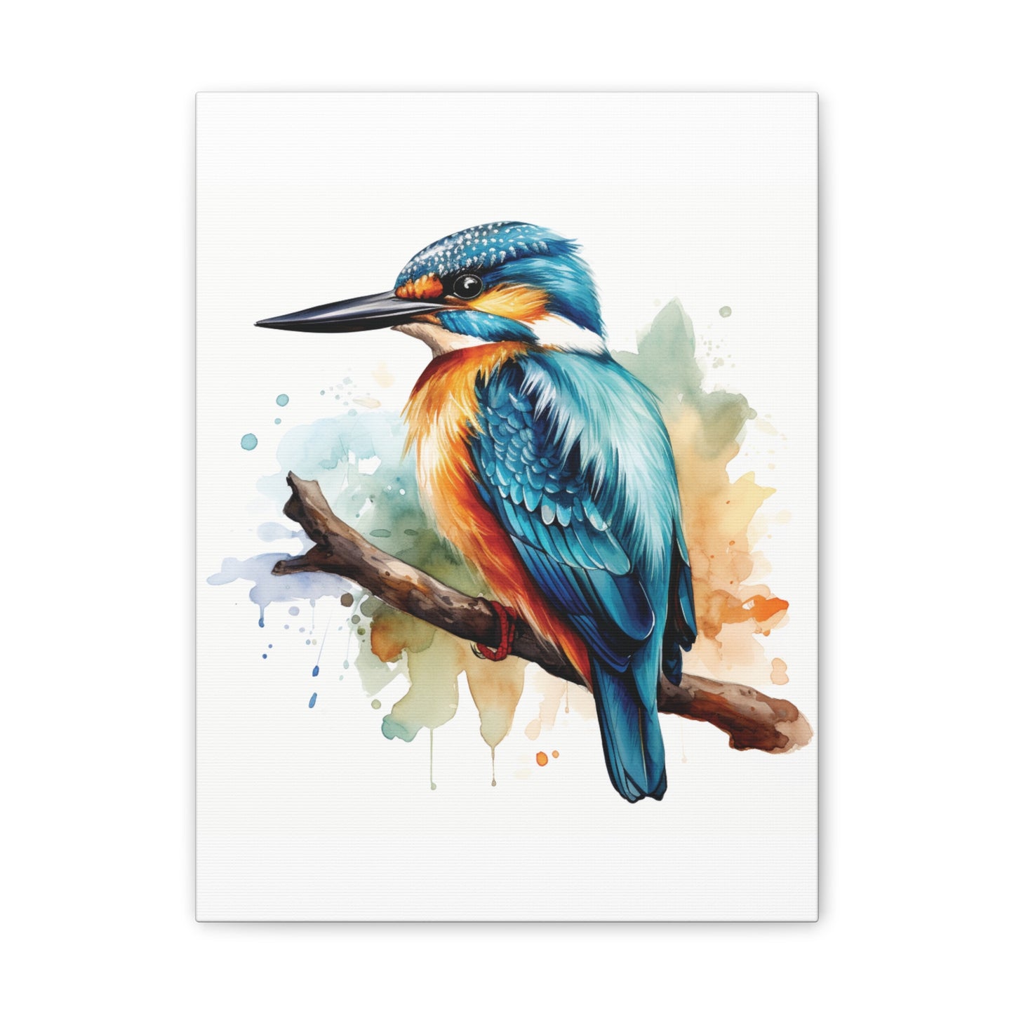 Canvas Print - Colorful Kingfisher Wall Decor