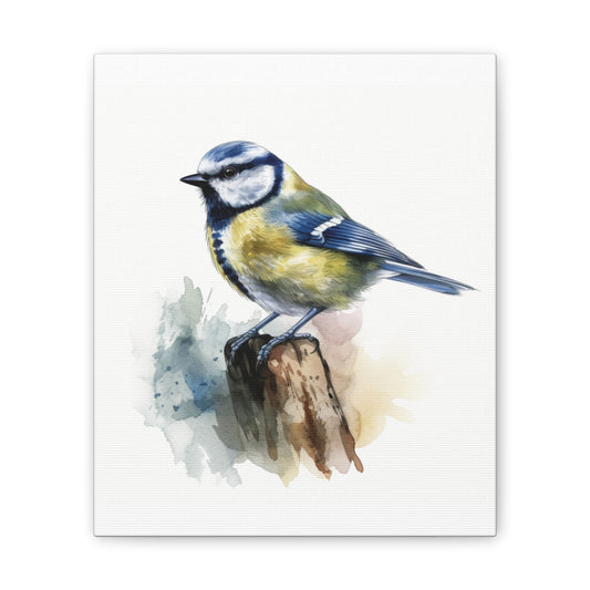 Canvas Print Blue Tit Water Color