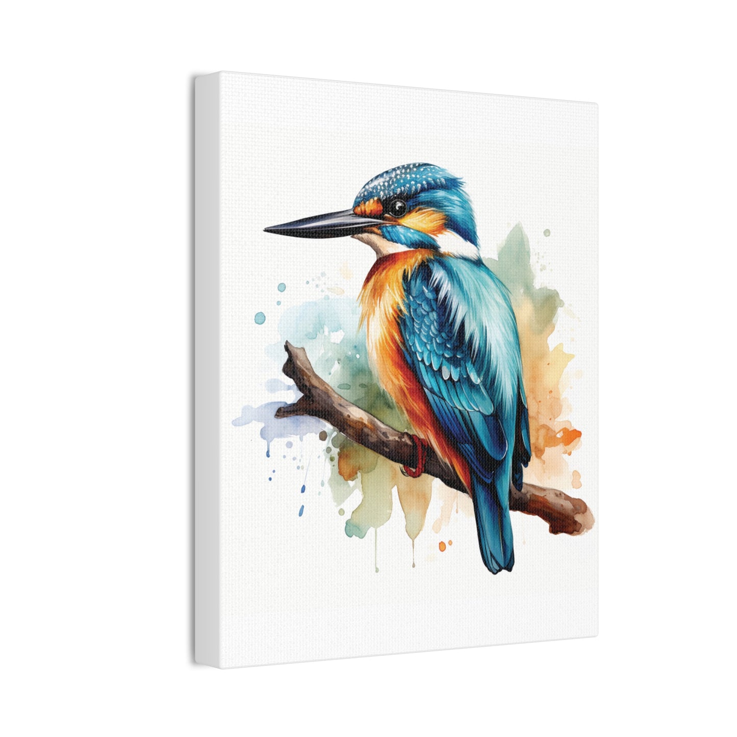 Canvas Print - Colorful Kingfisher Wall Decor