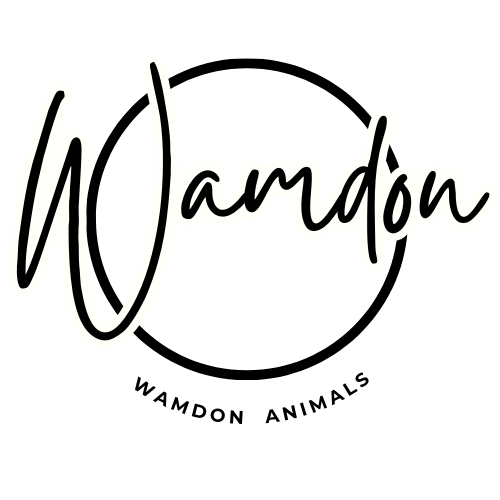 Wamdon