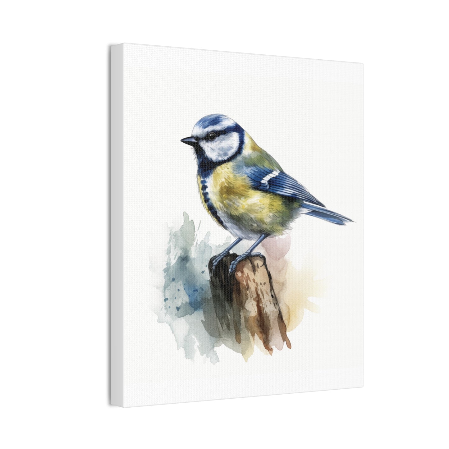 Canvas Print Blue Tit Water Color