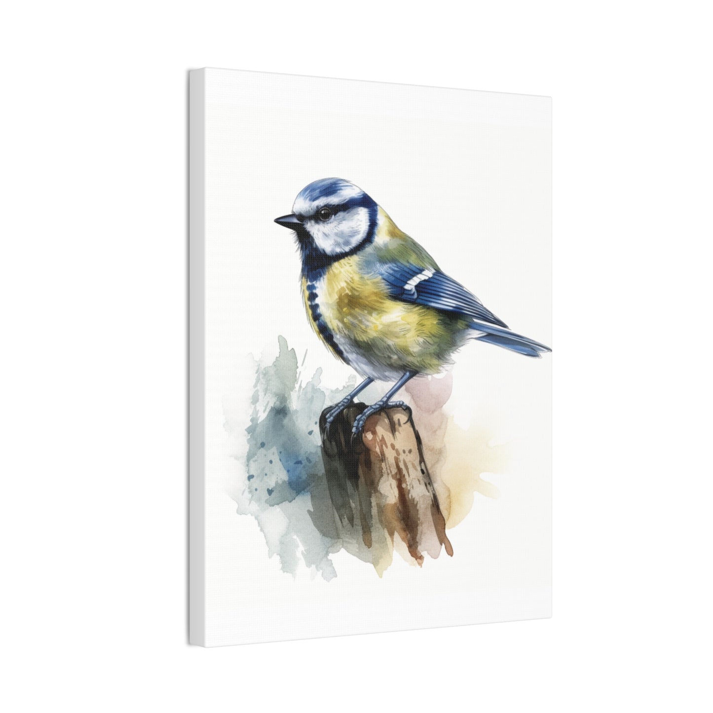 Canvas Print Blue Tit Water Color