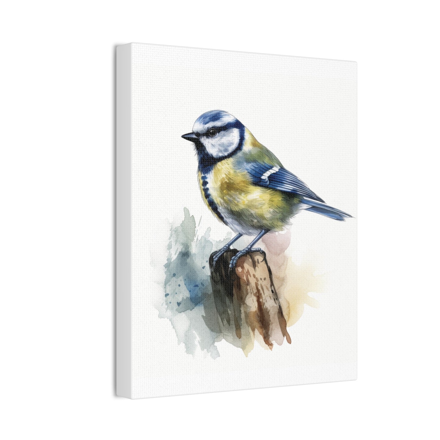 Canvas Print Blue Tit Water Color