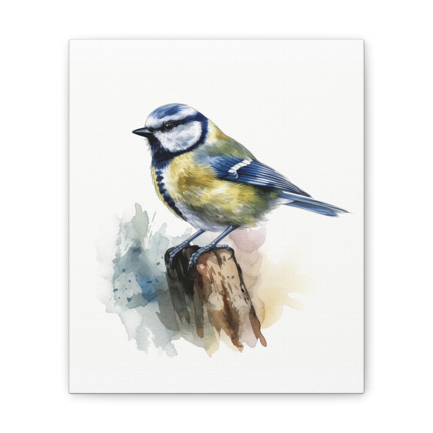 Canvas Print Blue Tit Water Color